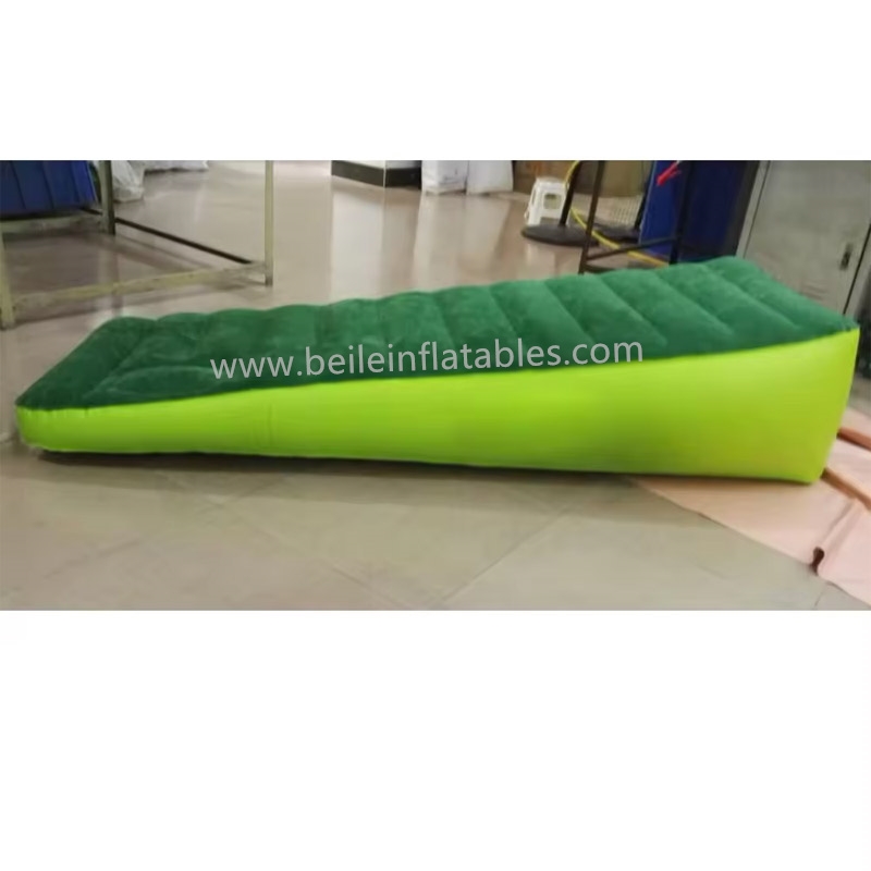 inflatable flocked bed