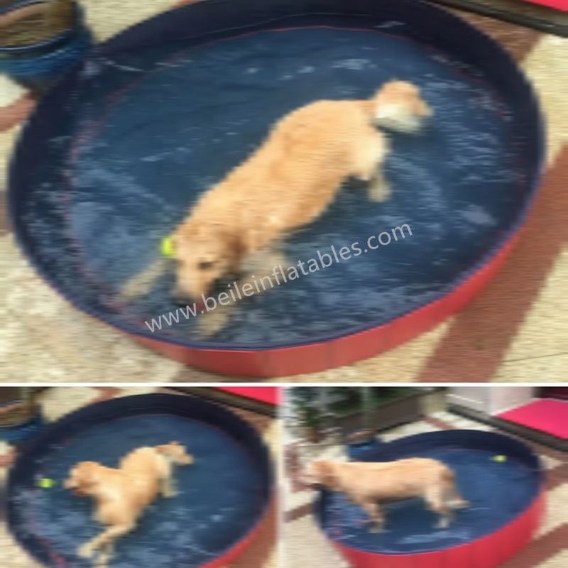 Pet swimming pool